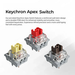 Keychron C2 Pro 8K QMK Wired Custom Mechanical Keyboard