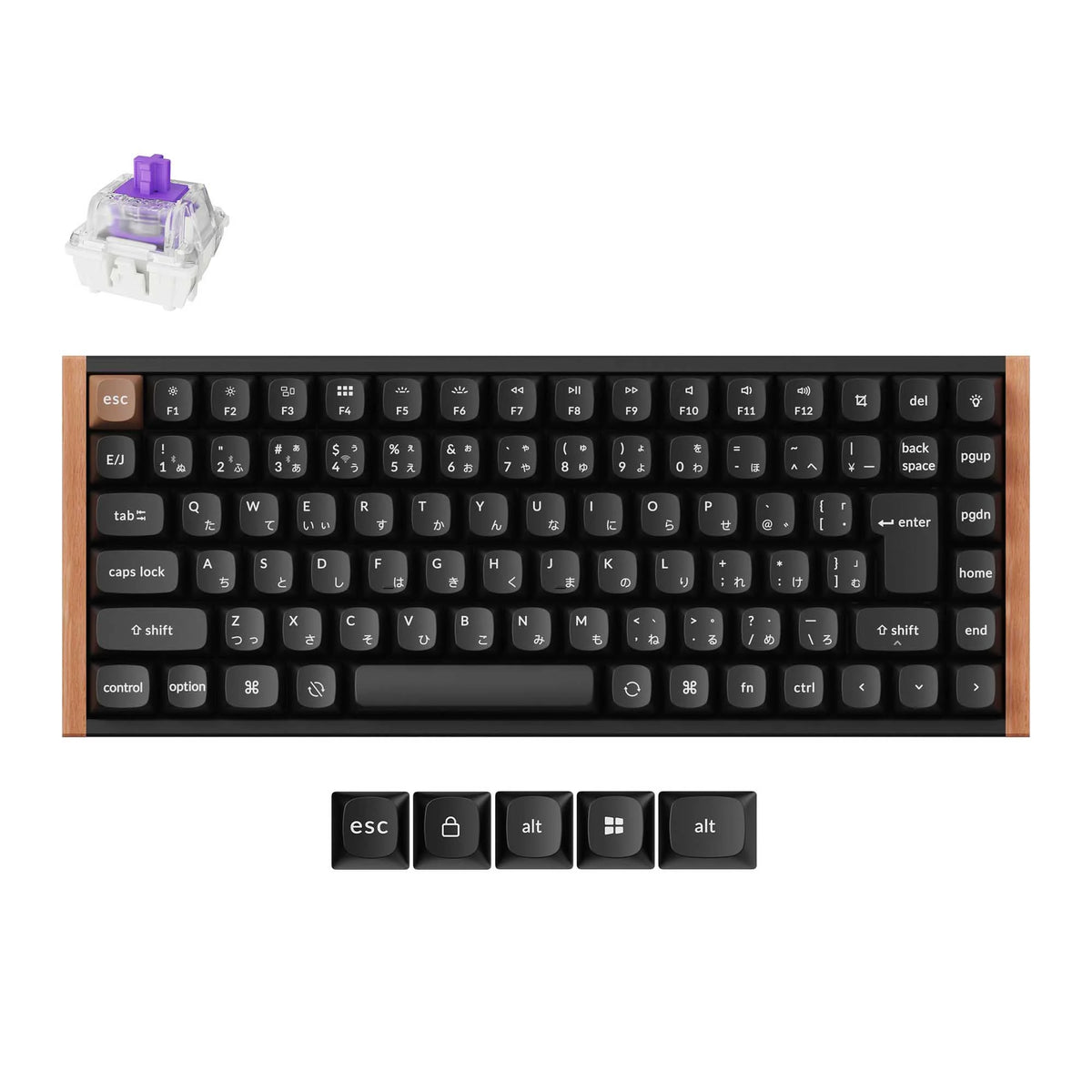Keychron K2 HE Wireless Magnetic Switch Custom Keyboard (Japan JIS Layout)