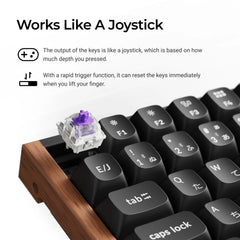Keychron K2 HE Wireless Magnetic Switch Custom Keyboard (Japan JIS Layout)